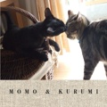 MOMO & KURUMI