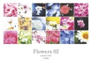 Flowers 02