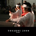     YOSAKOI 2008   