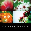 4pieces puzzle