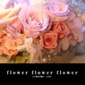 flower flower flower