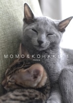 MOMO&KOHAKU 1