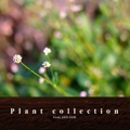 Plant collection