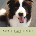 ANDY 5th Anniversary