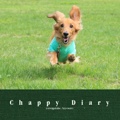 Chappy Diary