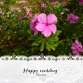 Happy wedding 