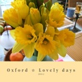 Oxford ☆ Lovely days