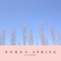 北の空から SPRING