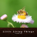 Little Living Things