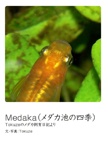 Medaka（メダカ池の四季）