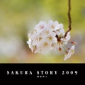 SAKURA STORY 2009