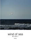 wind of sea