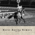Horse Racing Memory