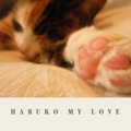 HARUKO MY LOVE