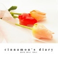 cinnamon's diary
