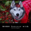 MOMO forever with
