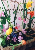 Colors of Flowers