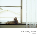 Cats in My home