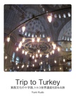 Trip to Turkey