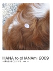 HANA to oHANAmi 2009