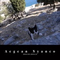 Aegean Nyanco