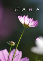 ＨＡＮＡ