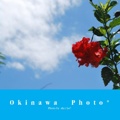 Okinawa  Photo*