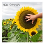 2010 -summer-