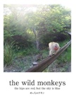 the wild monkeys