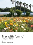 Trip with "smile"
