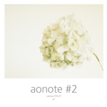 aonote #2