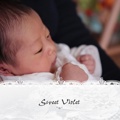 Sweet Violet