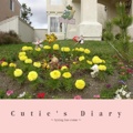 Cutie's Diary