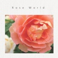 　　Rose World　　