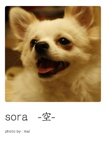 sora   -空-