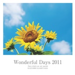 Wonderful Days 2011