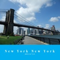 New York New York