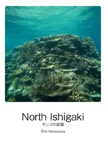North Ishigaki