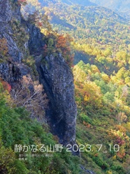    静かなる山野 2023. 7_10