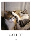 CAT LIFE
