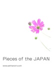 Pieces of the JAPAN