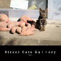 Street Cats Gaｌｌery