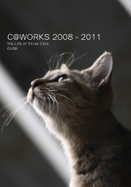 C@WORKS 2008 - 2011
