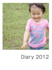 Diary 2012
