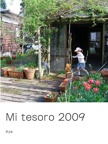 Mi tesoro 2009