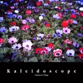 Kaleidoscope