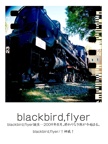 blackbird,flyer