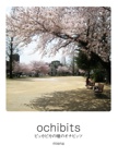 ochibits