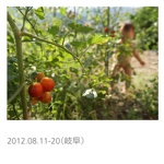 2012.08.11-20（岐阜）