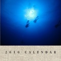 2010 CALENDAR